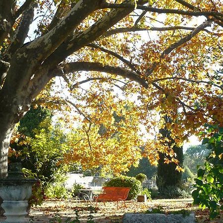 SolérieuxLa Ferme St Michel住宿加早餐旅馆 外观 照片
