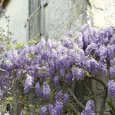 SolérieuxLa Ferme St Michel住宿加早餐旅馆 外观 照片