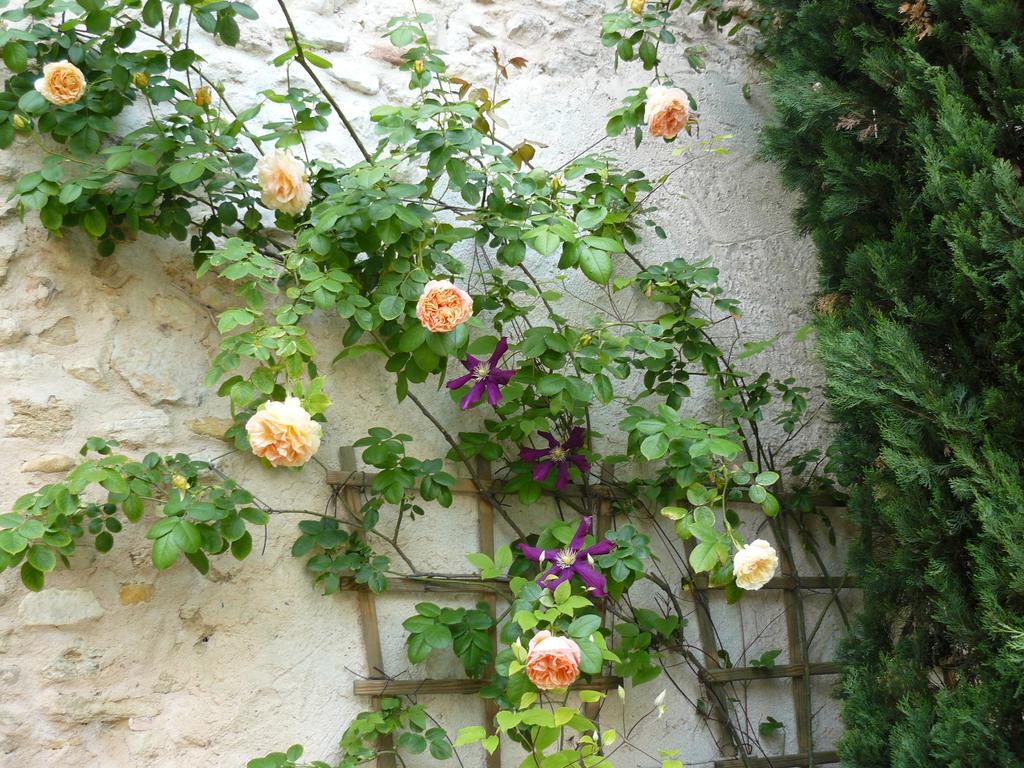 SolérieuxLa Ferme St Michel住宿加早餐旅馆 外观 照片