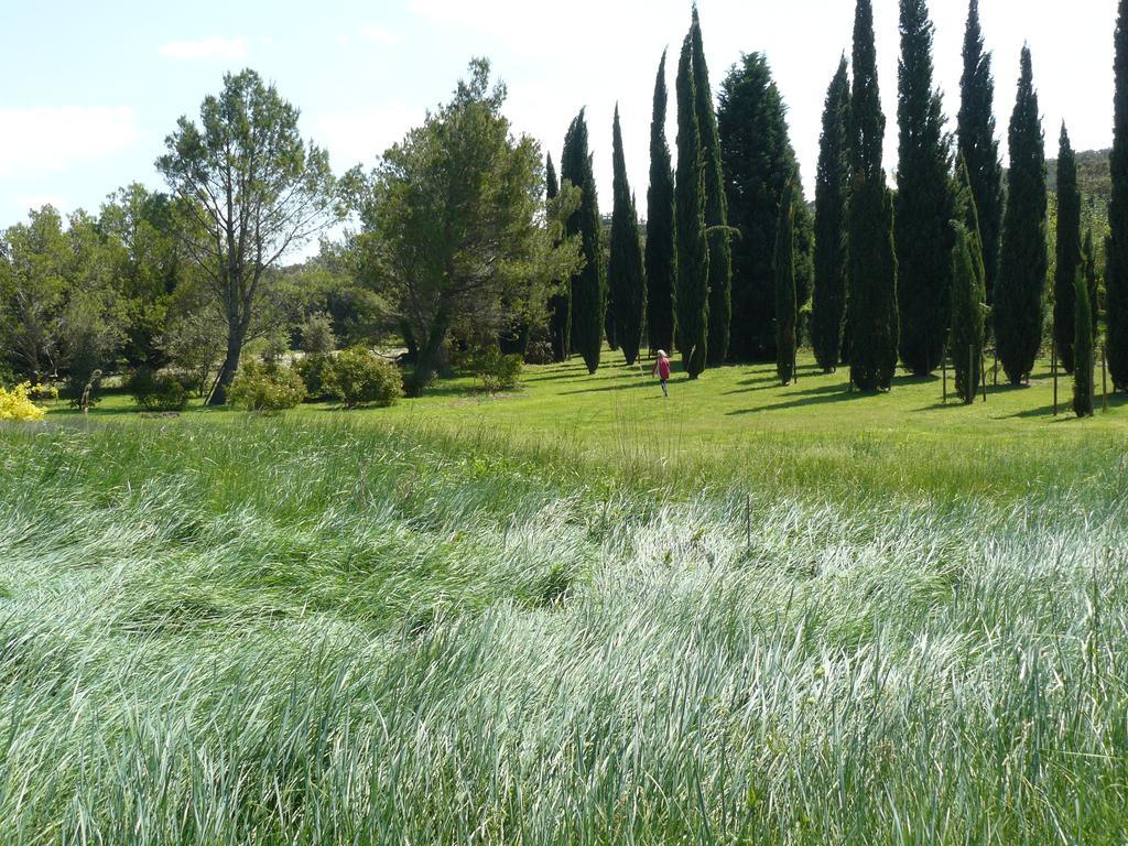 SolérieuxLa Ferme St Michel住宿加早餐旅馆 外观 照片