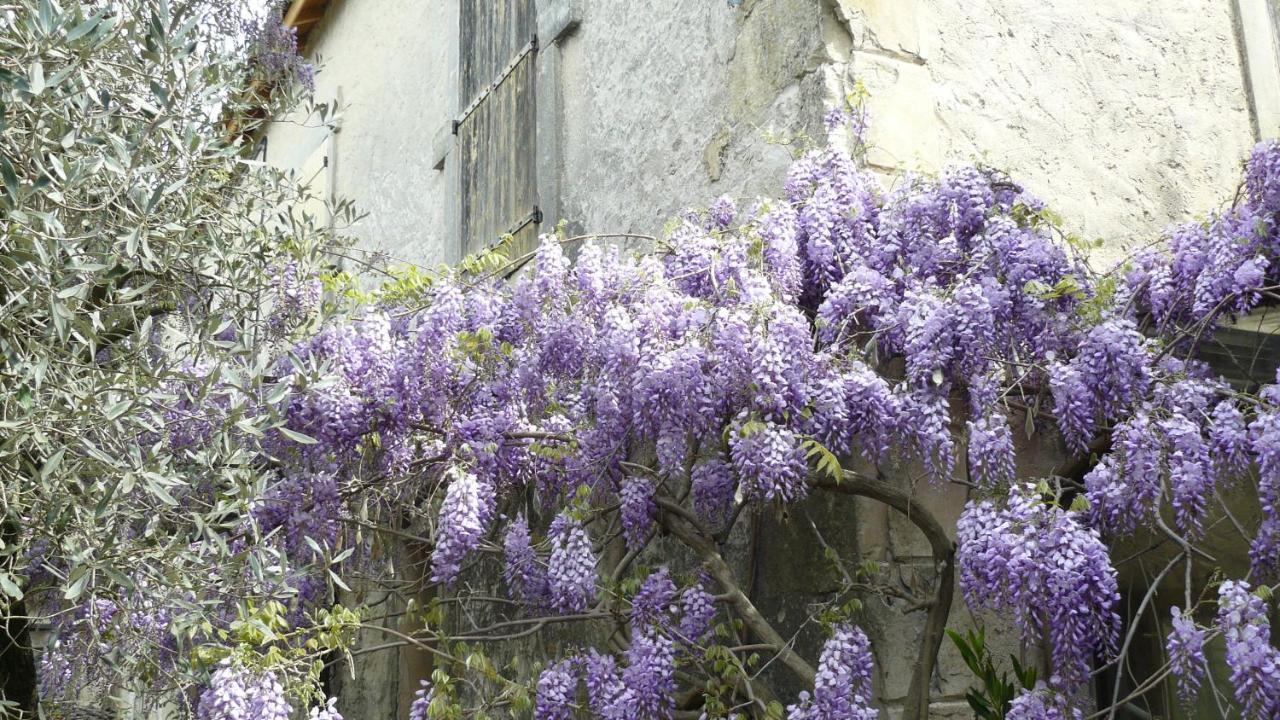 SolérieuxLa Ferme St Michel住宿加早餐旅馆 外观 照片